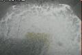 ccat0_20060603210000