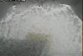 ccat0_20060603215959