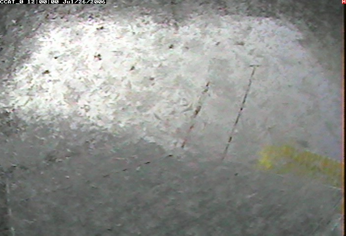 ccat0_20060726120000.jpg