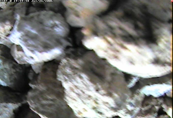 ccat0_20060726195958.jpg