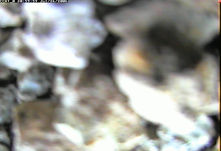 ccat0_20060726205959.jpg