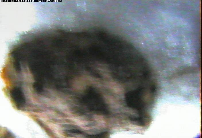 ccat0_20060727151212.jpg