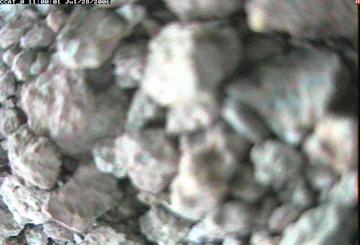 ccat0_20060728110001.jpg