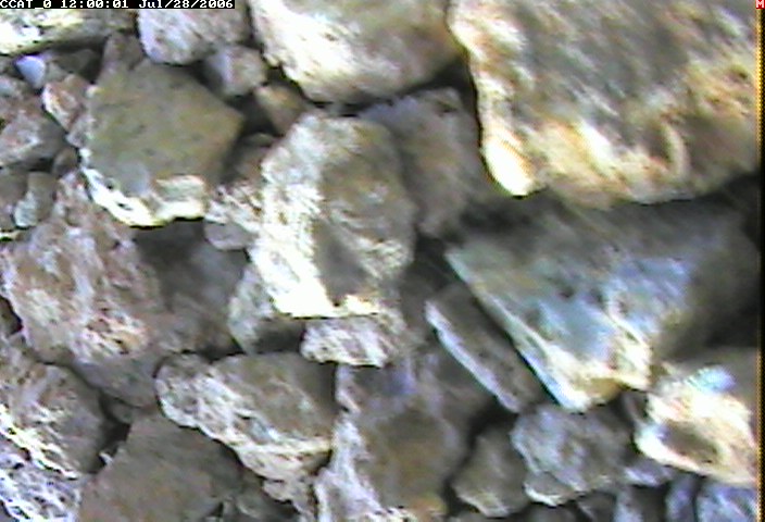 ccat0_20060728120001.jpg