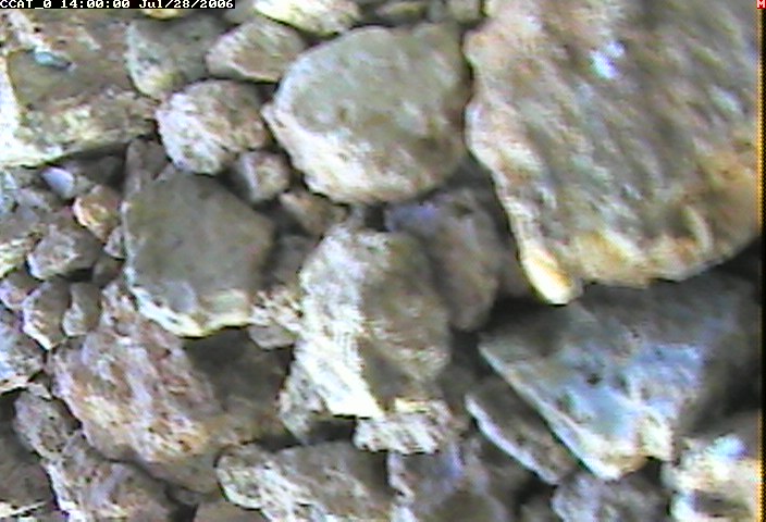 ccat0_20060728140000.jpg