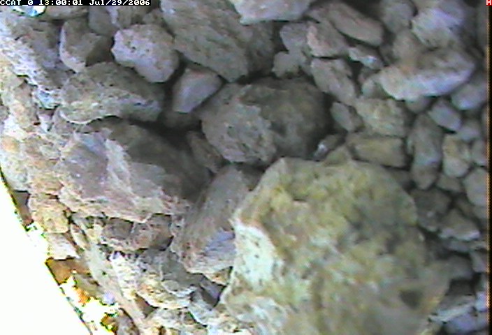 ccat0_20060729130001.jpg