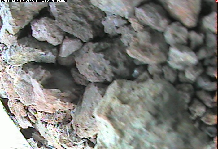 ccat0_20060729215959.jpg
