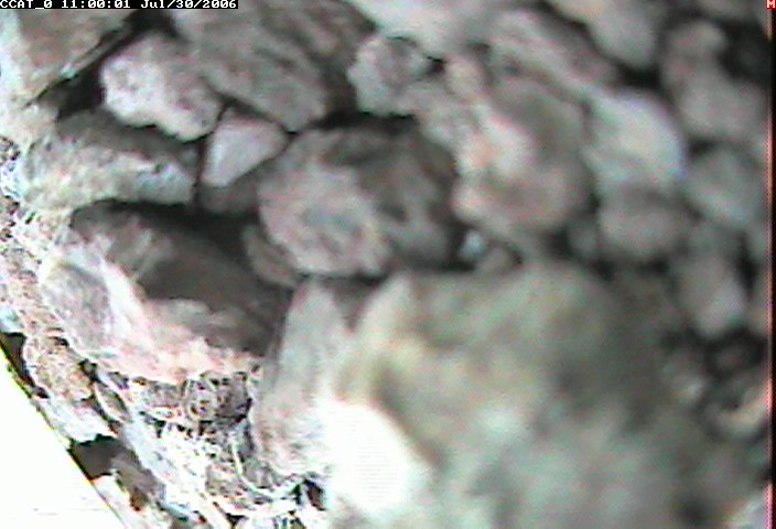 ccat0_20060730110001.jpg
