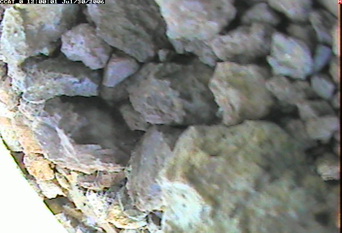 ccat0_20060730120001.jpg