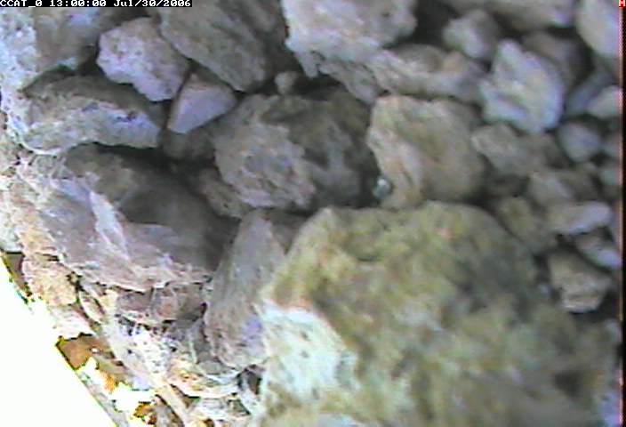 ccat0_20060730130000.jpg