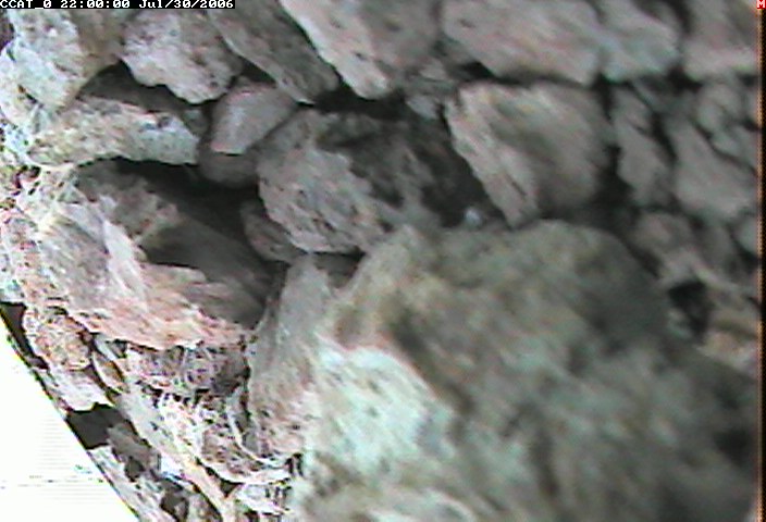 ccat0_20060730220000.jpg