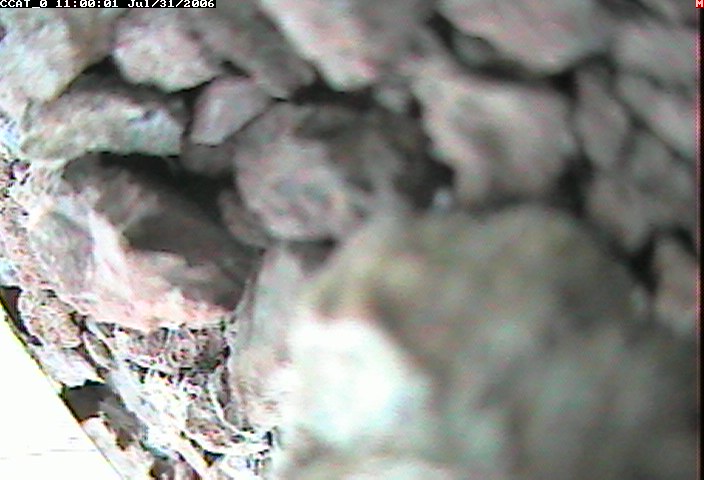ccat0_20060731110001.jpg