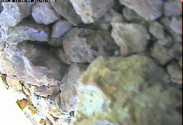 ccat0_20060731125959.jpg