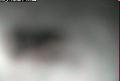 ccat0_20060727110000