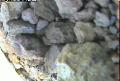 ccat0_20060730120001