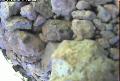 ccat0_20060730140001