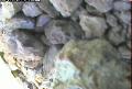 ccat0_20060731115959