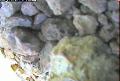 ccat0_20060731125959