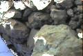ccat0_20060731150001