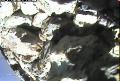 ccat0_20060731170000