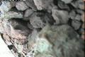 ccat0_20060731220001