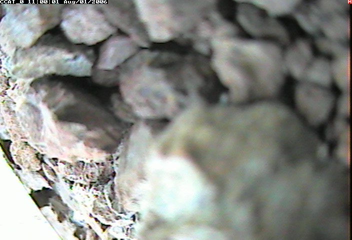 ccat0_20060801110001.jpg