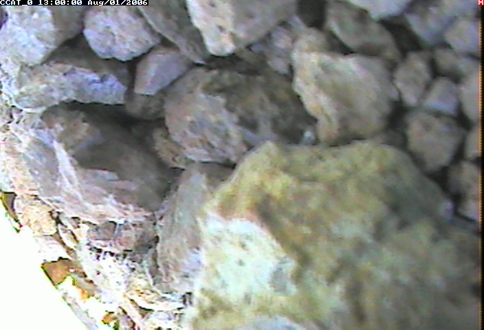 ccat0_20060801130000.jpg