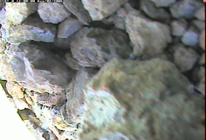 ccat0_20060802120000.jpg