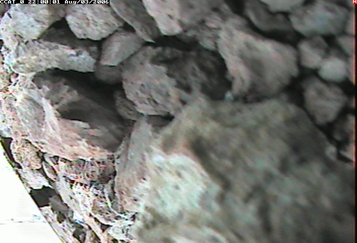 ccat0_20060803220001.jpg
