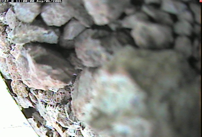ccat0_20060806110000.jpg