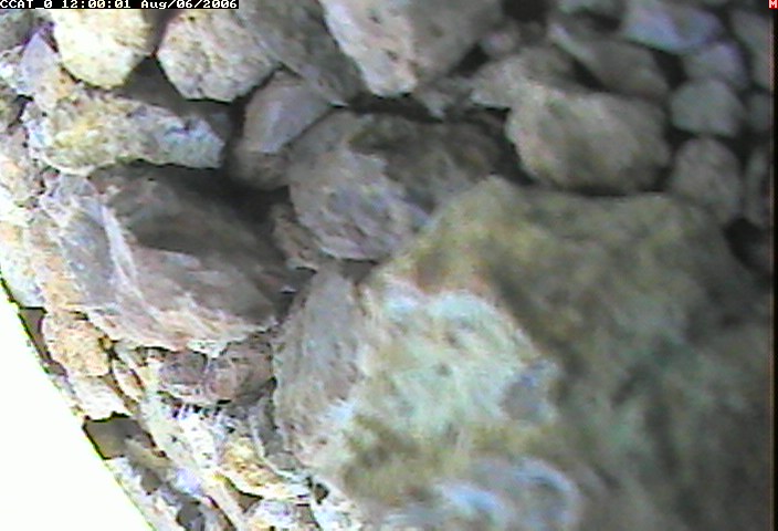 ccat0_20060806120001.jpg