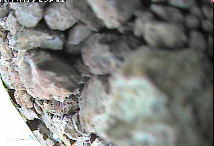 ccat0_20060807110001.jpg