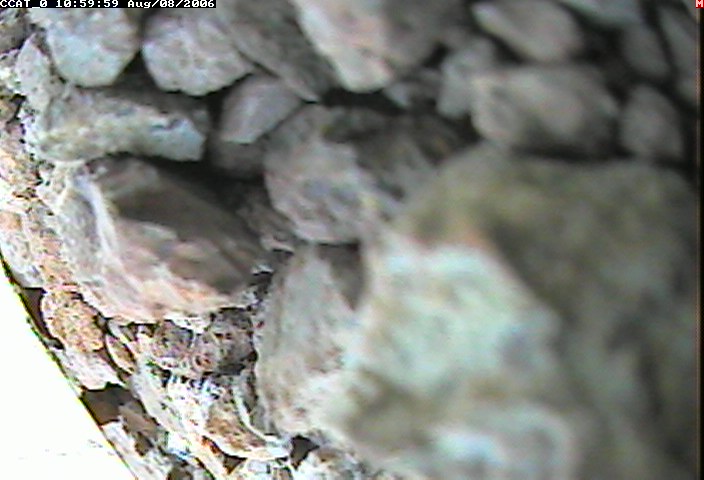 ccat0_20060808105959.jpg