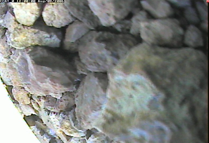 ccat0_20060808120000.jpg