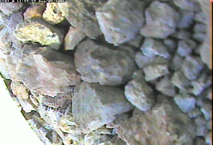 ccat0_20060809115959.jpg