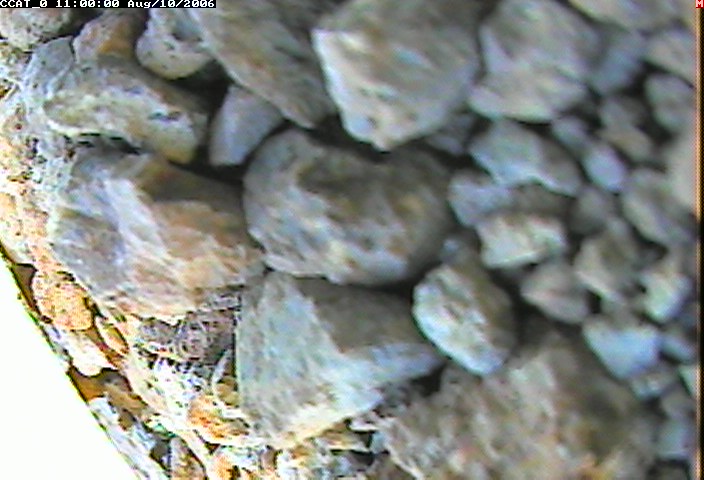 ccat0_20060810110000.jpg