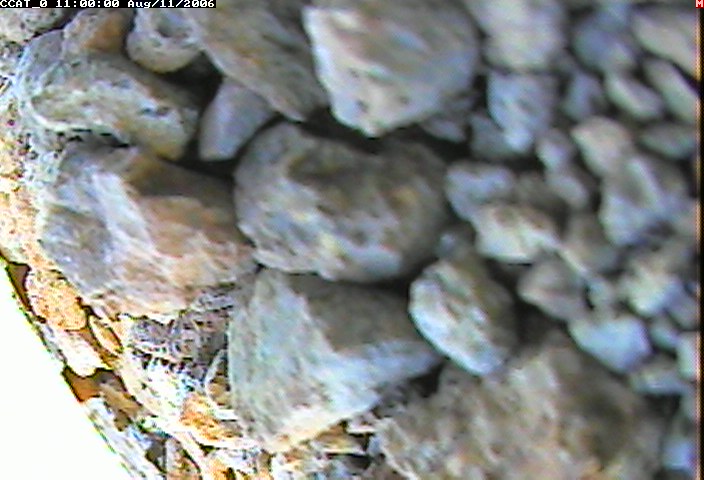 ccat0_20060811110000.jpg