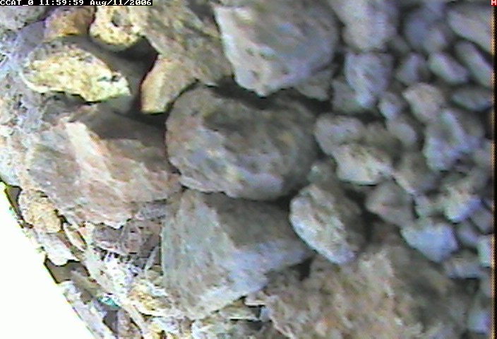 ccat0_20060811115959.jpg