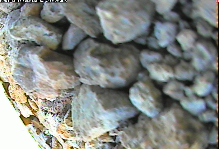 ccat0_20060812110000.jpg