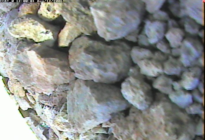 ccat0_20060812120001.jpg