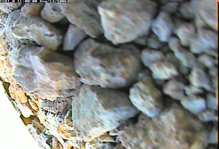 ccat0_20060813110000.jpg