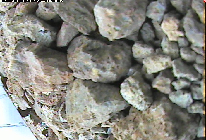 ccat0_20060813125959.jpg
