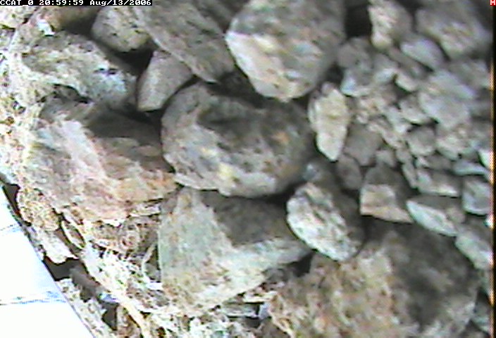 ccat0_20060813205959.jpg