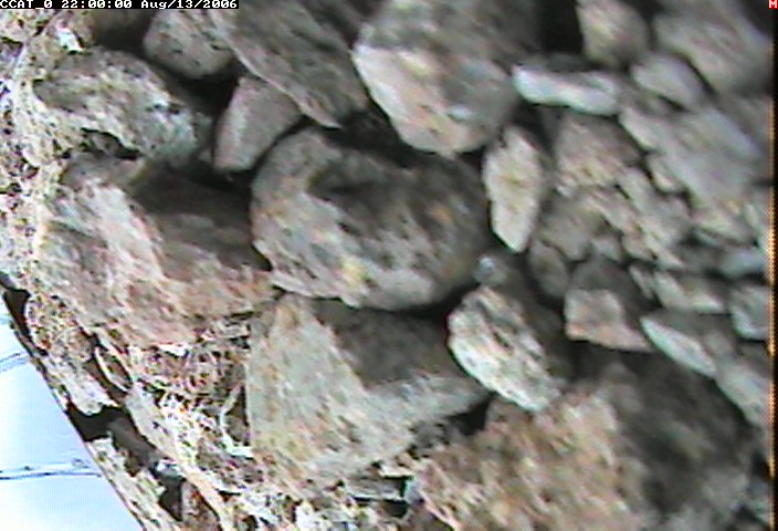 ccat0_20060813220000.jpg