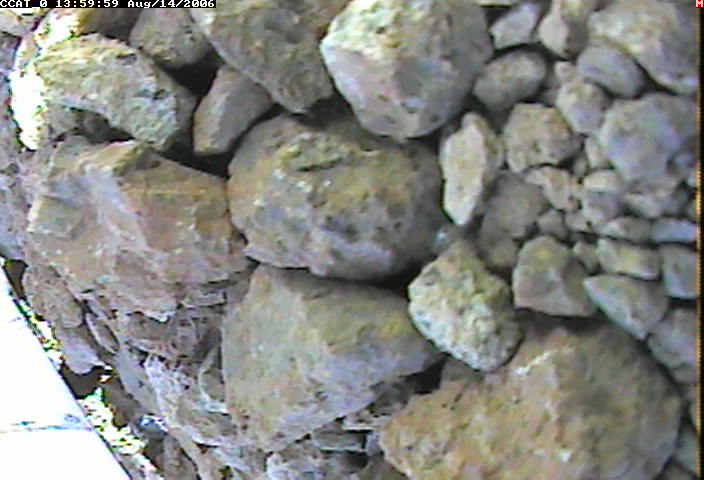 ccat0_20060814135959.jpg