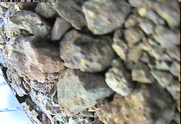 ccat0_20060815110000.jpg