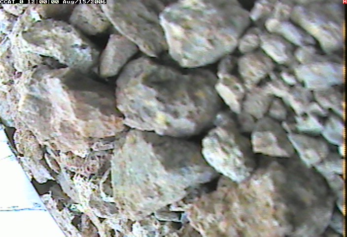 ccat0_20060815120000.jpg