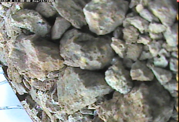 ccat0_20060815130000.jpg