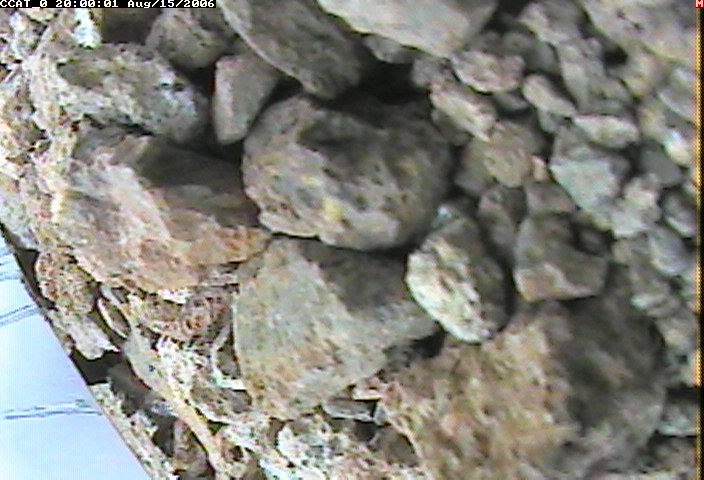 ccat0_20060815200001.jpg