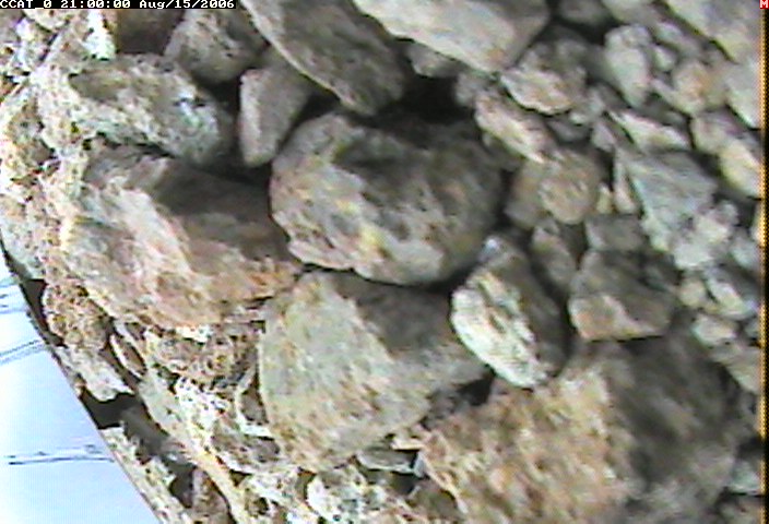 ccat0_20060815210000.jpg